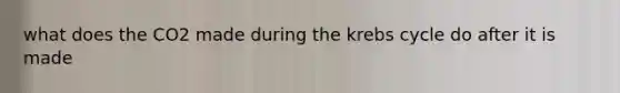 what does the CO2 made during the krebs cycle do after it is made