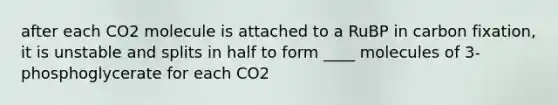 after each CO2 molecule is attached to a RuBP in carbon fixation, it is unstable and splits in half to form ____ molecules of 3-phosphoglycerate for each CO2