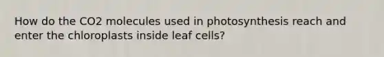 How do the CO2 molecules used in photosynthesis reach and enter the chloroplasts inside leaf cells?