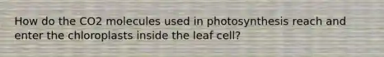 How do the CO2 molecules used in photosynthesis reach and enter the chloroplasts inside the leaf cell?