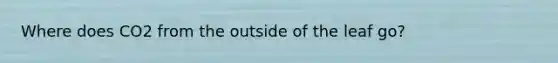 Where does CO2 from the outside of the leaf go?