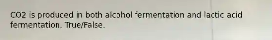 CO2 is produced in both alcohol fermentation and lactic acid fermentation. True/False.