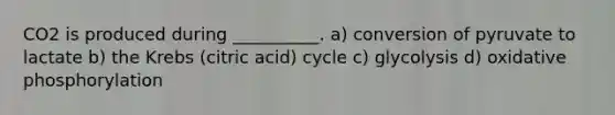 CO2 is produced during __________. a) conversion of pyruvate to lactate b) the Krebs (citric acid) cycle c) glycolysis d) <a href='https://www.questionai.com/knowledge/kFazUb9IwO-oxidative-phosphorylation' class='anchor-knowledge'>oxidative phosphorylation</a>