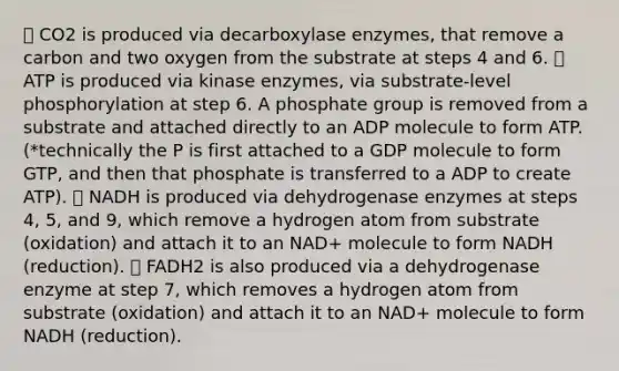 ✅ CO2 is produced via decarboxylase enzymes, that remove a carbon and two oxygen from the substrate at steps 4 and 6. ✅ ATP is produced via kinase enzymes, via substrate-level phosphorylation at step 6. A phosphate group is removed from a substrate and attached directly to an ADP molecule to form ATP. (*technically the P is first attached to a GDP molecule to form GTP, and then that phosphate is transferred to a ADP to create ATP). ✅ NADH is produced via dehydrogenase enzymes at steps 4, 5, and 9, which remove a hydrogen atom from substrate (oxidation) and attach it to an NAD+ molecule to form NADH (reduction). ✅ FADH2 is also produced via a dehydrogenase enzyme at step 7, which removes a hydrogen atom from substrate (oxidation) and attach it to an NAD+ molecule to form NADH (reduction).