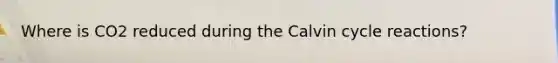 Where is CO2 reduced during the Calvin cycle reactions?