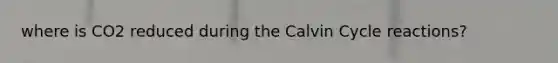 where is CO2 reduced during the Calvin Cycle reactions?