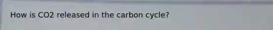 How is CO2 released in the carbon cycle?