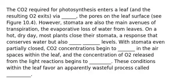 The CO2 required for photosynthesis enters a leaf (and the resulting O2 exits) via ______, the pores on the leaf surface (see Figure 10.4). However, stomata are also the main avenues of transpiration, the evaporative loss of water from leaves. On a hot, dry day, most plants close their stomata, a response that conserves water but also _____ _______ levels. With stomata even partially closed, CO2 concentrations begin to _______ in the air spaces within the leaf, and the concentration of O2 released from the light reactions begins to _________. These conditions within the leaf favor an apparently wasteful process called __________.