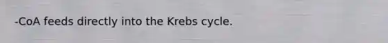 -CoA feeds directly into the <a href='https://www.questionai.com/knowledge/kqfW58SNl2-krebs-cycle' class='anchor-knowledge'>krebs cycle</a>.