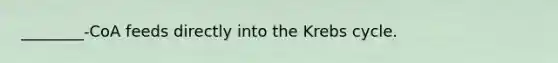 ________-CoA feeds directly into the Krebs cycle.