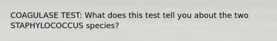 COAGULASE TEST: What does this test tell you about the two STAPHYLOCOCCUS species?