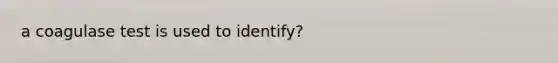 a coagulase test is used to identify?