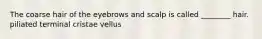 The coarse hair of the eyebrows and scalp is called ________ hair. piliated terminal cristae vellus