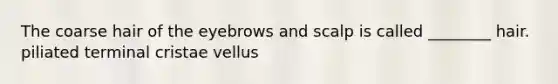 The coarse hair of the eyebrows and scalp is called ________ hair. piliated terminal cristae vellus