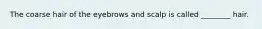 The coarse hair of the eyebrows and scalp is called ________ hair.