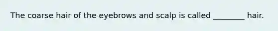 The coarse hair of the eyebrows and scalp is called ________ hair.