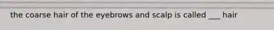 the coarse hair of the eyebrows and scalp is called ___ hair