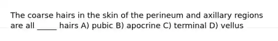 The coarse hairs in the skin of the perineum and axillary regions are all _____ hairs A) pubic B) apocrine C) terminal D) vellus