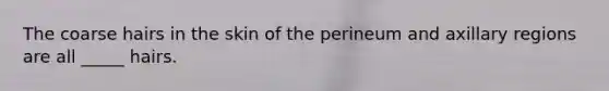 The coarse hairs in the skin of the perineum and axillary regions are all _____ hairs.