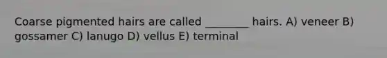 Coarse pigmented hairs are called ________ hairs. A) veneer B) gossamer C) lanugo D) vellus E) terminal