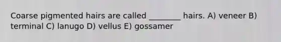 Coarse pigmented hairs are called ________ hairs. A) veneer B) terminal C) lanugo D) vellus E) gossamer