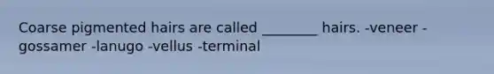 Coarse pigmented hairs are called ________ hairs. -veneer -gossamer -lanugo -vellus -terminal