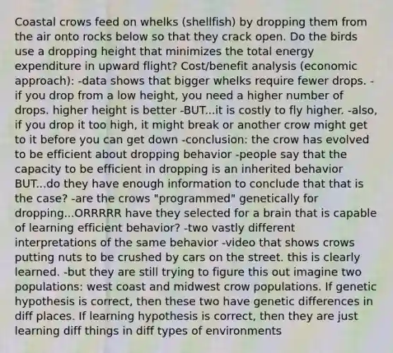Coastal crows feed on whelks (shellfish) by dropping them from the air onto rocks below so that they crack open. Do the birds use a dropping height that minimizes the total energy expenditure in upward flight? Cost/benefit analysis (economic approach): -data shows that bigger whelks require fewer drops. -if you drop from a low height, you need a higher number of drops. higher height is better -BUT...it is costly to fly higher. -also, if you drop it too high, it might break or another crow might get to it before you can get down -conclusion: the crow has evolved to be efficient about dropping behavior -people say that the capacity to be efficient in dropping is an inherited behavior BUT...do they have enough information to conclude that that is the case? -are the crows "programmed" genetically for dropping...ORRRRR have they selected for a brain that is capable of learning efficient behavior? -two vastly different interpretations of the same behavior -video that shows crows putting nuts to be crushed by cars on the street. this is clearly learned. -but they are still trying to figure this out imagine two populations: west coast and midwest crow populations. If genetic hypothesis is correct, then these two have genetic differences in diff places. If learning hypothesis is correct, then they are just learning diff things in diff types of environments