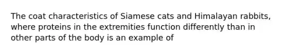 The coat characteristics of Siamese cats and Himalayan rabbits, where proteins in the extremities function differently than in other parts of the body is an example of