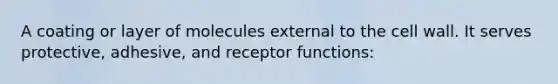 A coating or layer of molecules external to the cell wall. It serves protective, adhesive, and receptor functions: