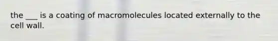 the ___ is a coating of macromolecules located externally to the cell wall.