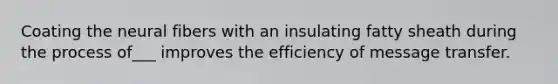 Coating the neural fibers with an insulating fatty sheath during the process of___ improves the efficiency of message transfer.