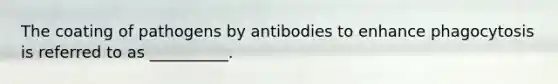 The coating of pathogens by antibodies to enhance phagocytosis is referred to as __________.