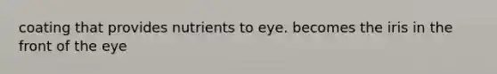 coating that provides nutrients to eye. becomes the iris in the front of the eye