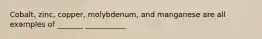 Cobalt, zinc, copper, molybdenum, and manganese are all examples of _______ ___________