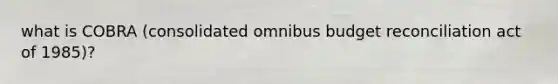 what is COBRA (consolidated omnibus budget reconciliation act of 1985)?