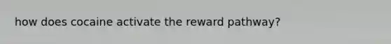 how does cocaine activate the reward pathway?