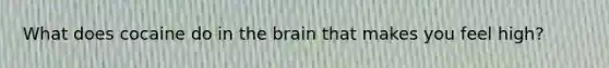 What does cocaine do in the brain that makes you feel high?