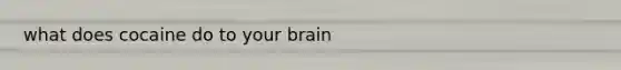 what does cocaine do to your brain