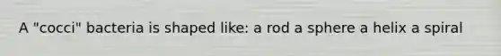 A "cocci" bacteria is shaped like: a rod a sphere a helix a spiral