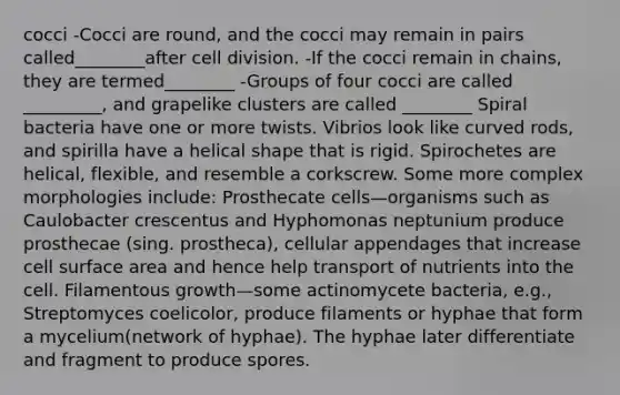 cocci -Cocci are round, and the cocci may remain in pairs called________after <a href='https://www.questionai.com/knowledge/kjHVAH8Me4-cell-division' class='anchor-knowledge'>cell division</a>. -If the cocci remain in chains, they are termed________ -Groups of four cocci are called _________, and grapelike clusters are called ________ Spiral bacteria have one or more twists. Vibrios look like curved rods, and spirilla have a helical shape that is rigid. Spirochetes are helical, flexible, and resemble a corkscrew. Some more complex morphologies include: Prosthecate cells—organisms such as Caulobacter crescentus and Hyphomonas neptunium produce prosthecae (sing. prostheca), cellular appendages that increase cell surface area and hence help transport of nutrients into the cell. Filamentous growth—some actinomycete bacteria, e.g., Streptomyces coelicolor, produce filaments or hyphae that form a mycelium(network of hyphae). The hyphae later differentiate and fragment to produce spores.