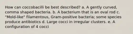 How can coccobacilli be best described? a. A gently curved, comma shaped bacteria. b. A bacterium that is an oval rod c. "Mold-like" filamentous, Gram-positive bacteria; some species produce antibiotics d. Large cocci in irregular clusters. e. A configuration of 4 cocci