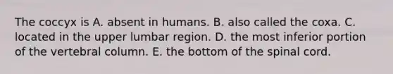 The coccyx is A. absent in humans. B. also called the coxa. C. located in the upper lumbar region. D. the most inferior portion of the <a href='https://www.questionai.com/knowledge/ki4fsP39zf-vertebral-column' class='anchor-knowledge'>vertebral column</a>. E. the bottom of <a href='https://www.questionai.com/knowledge/kkAfzcJHuZ-the-spinal-cord' class='anchor-knowledge'>the spinal cord</a>.