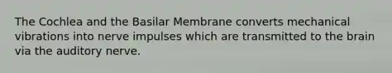 The Cochlea and the Basilar Membrane converts mechanical vibrations into nerve impulses which are transmitted to the brain via the auditory nerve.