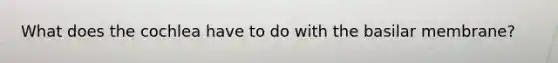 What does the cochlea have to do with the basilar membrane?