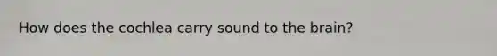 How does the cochlea carry sound to the brain?