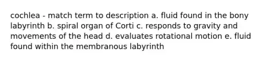 cochlea - match term to description a. fluid found in the bony labyrinth b. spiral organ of Corti c. responds to gravity and movements of the head d. evaluates rotational motion e. fluid found within the membranous labyrinth