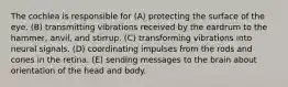 The cochlea is responsible for (A) protecting the surface of the eye. (B) transmitting vibrations received by the eardrum to the hammer, anvil, and stirrup. (C) transforming vibrations into neural signals. (D) coordinating impulses from the rods and cones in the retina. (E) sending messages to the brain about orientation of the head and body.