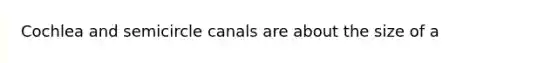 Cochlea and semicircle canals are about the size of a