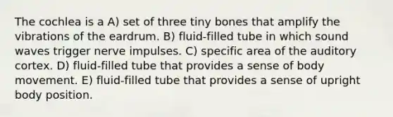 The cochlea is a A) set of three tiny bones that amplify the vibrations of the eardrum. B) fluid-filled tube in which sound waves trigger nerve impulses. C) specific area of the auditory cortex. D) fluid-filled tube that provides a sense of body movement. E) fluid-filled tube that provides a sense of upright body position.