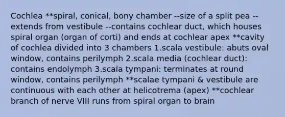 Cochlea **spiral, conical, bony chamber --size of a split pea --extends from vestibule --contains cochlear duct, which houses spiral organ (organ of corti) and ends at cochlear apex **cavity of cochlea divided into 3 chambers 1.scala vestibule: abuts oval window, contains perilymph 2.scala media (cochlear duct): contains endolymph 3.scala tympani: terminates at round window, contains perilymph **scalae tympani & vestibule are continuous with each other at helicotrema (apex) **cochlear branch of nerve VIII runs from spiral organ to brain